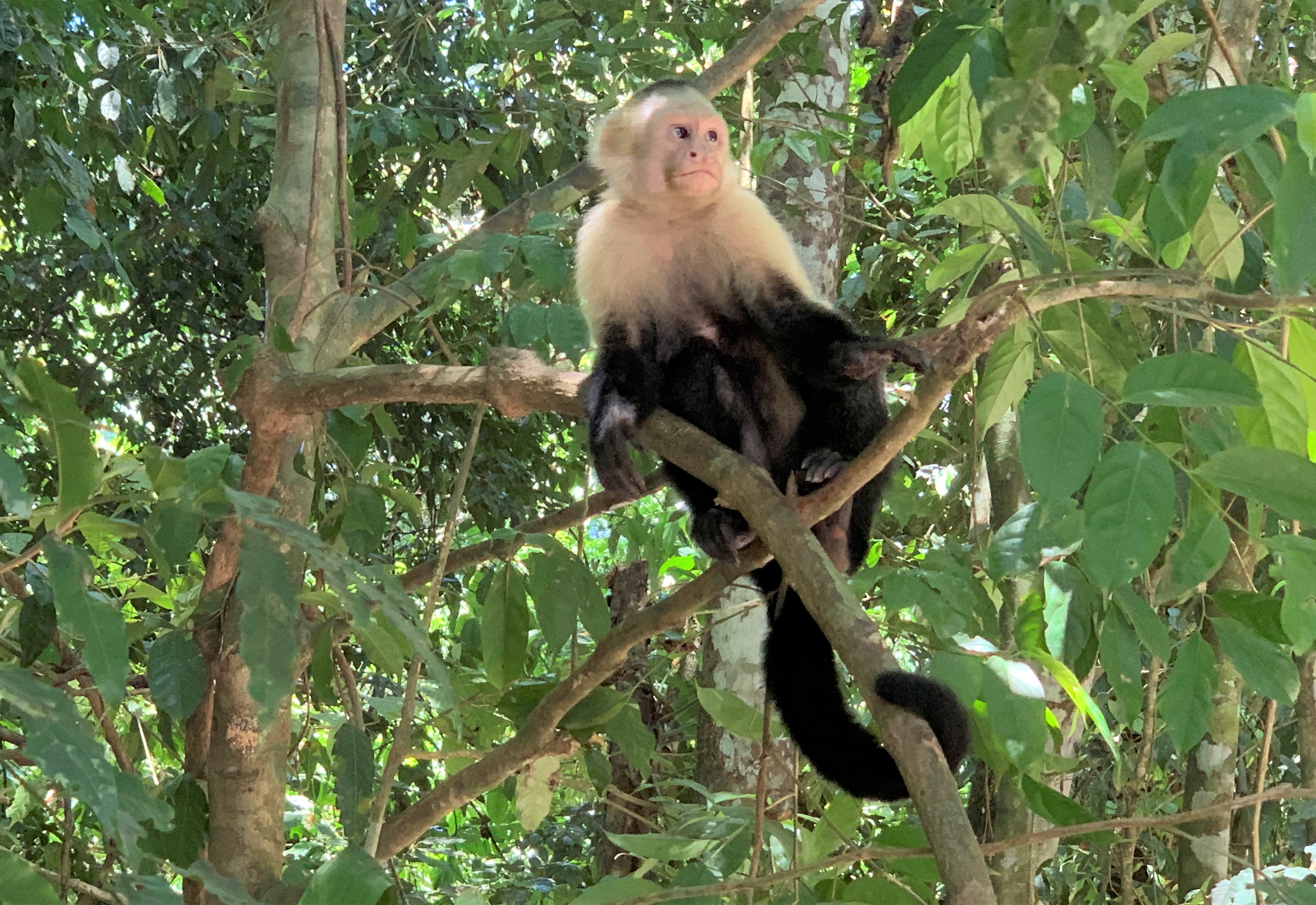 Costa Rica